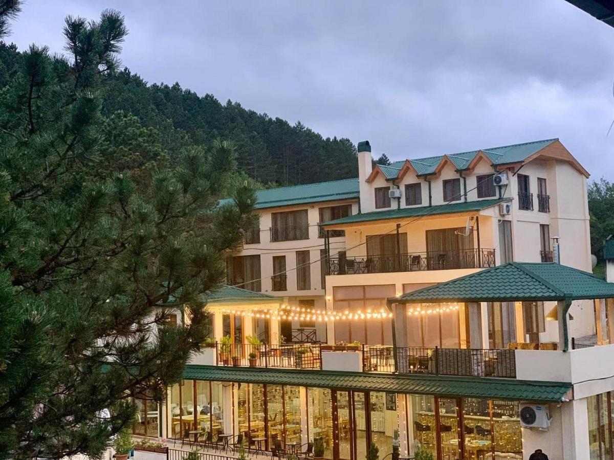 Hotel Surami Exterior photo